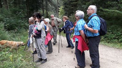 Auf verwunschenem Weg am Hagenbach. Führung von Albert Teufel
