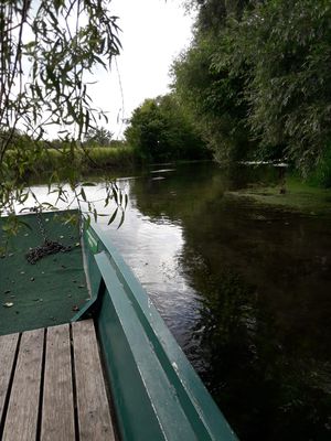 3. Tag Stocherkahnfahrt in Taubergiessen
