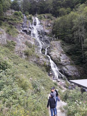 4. Tag Heimreise durcha Münstertal, Todtnauer Wasserfälle
