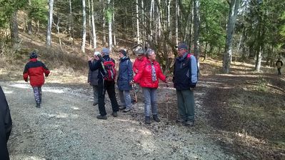 WP_20170305_13_52_53_Pro.jpg