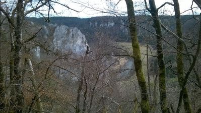 WP_20170319_12_25_05_Pro.jpg