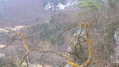 WP_20170319_13_33_34_Pro.jpg