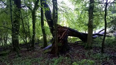 Regnerische Wanderung mit nur 7 Personen.
