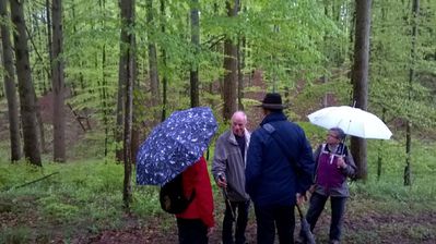 WP_20170507_09_43_26_Pro.jpg
