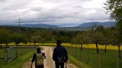 Zum Schluß lies sich der Bodensee doch noch sehen.
