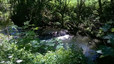 WP_20170611_10_59_19_Pro.jpg