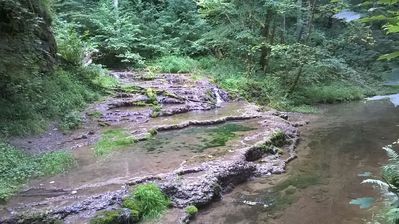 WP_20170820_11_46_37_Pro.jpg