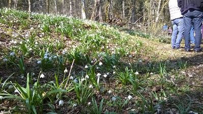 WP_20190324_13_20_51_Pro.jpg
