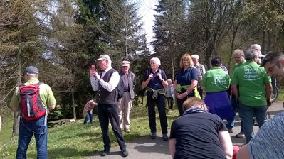 Erklärungen zur Esskastanie
