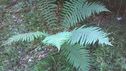 image004~4.jpg