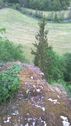 image017~3.jpg