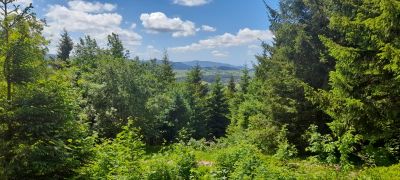 IMG-20260607-WA0021.jpg