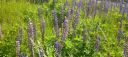 IMG-20260607-WA0023.jpg