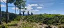 IMG-20260607-WA0025.jpg